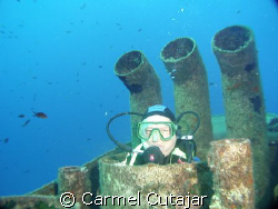 image shot with the Sony HDR HC1Ein camera mode useing ek... by Carmel Cutajar 